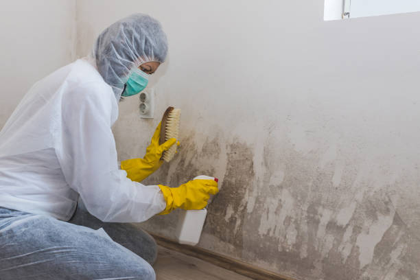 Best Office Mold Removal Services  in Deatsville, AL
