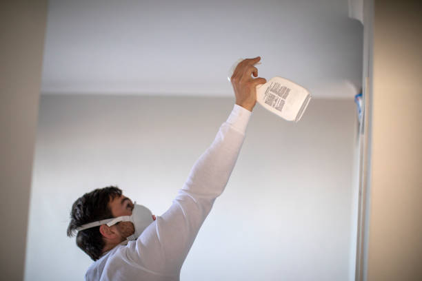 Best Mold Remediation  in Deatsville, AL