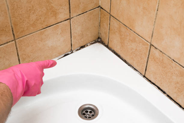 Best Affordable Mold Removal  in Deatsville, AL